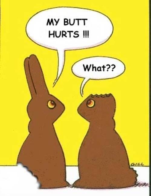 easter choc bunnies