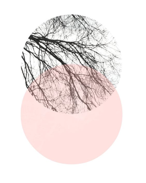 e14bbe6b29526b11fde3e725485229b2