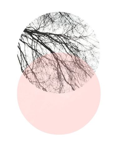 e14bbe6b29526b11fde3e725485229b2