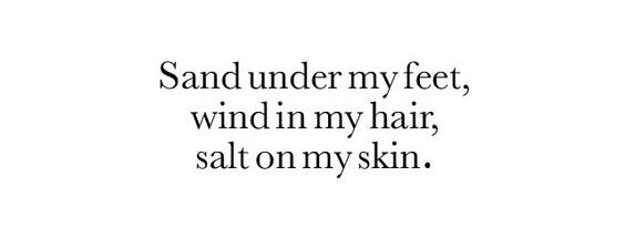 bd513f2bfea033e0ffb485232a1c56ec